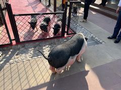 -太阳岛度假酒店