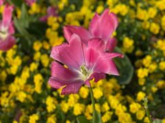 -豫园志愿服务青年中心