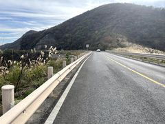 -东白山