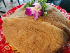 -锅说大脸毛肚重庆老火锅(佐阾店)