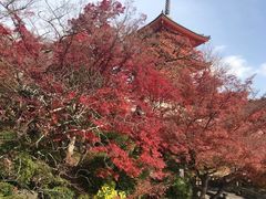-有栖山 清光院 清水寺