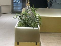 -喜茶(广州保利中环店)
