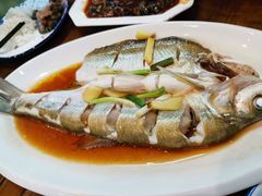 -老马家·舌尖上的西塘美食