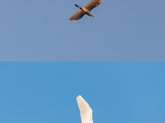 -南沙十九涌渔人码头-南门