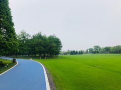-宜兴龙背山森林公园