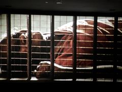 -太平洋影院(西村店)