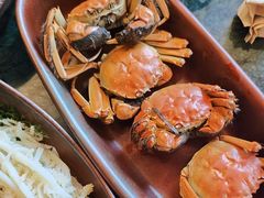 -牛New寿喜烧(金鹰世界店)