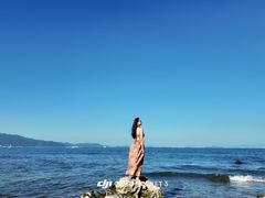 -杨梅坑