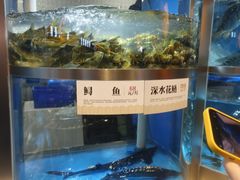 -老船舫·现做活鲜鱼馆(东郊记忆店)