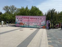 -太阳宫公园