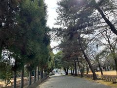 -水前寺成趣园