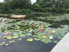 -白马涧龙池景区