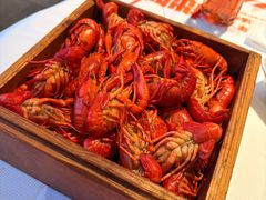 清蒸大龙虾-拙味兄弟·活龙虾·旗舰店(环城西路店)