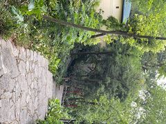-叠彩山景区