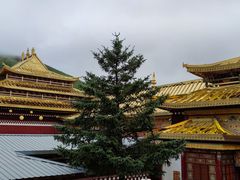 -四川郎木寺镇