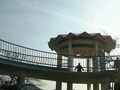 -贮水山儿童公园