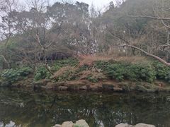 -秋霞圃