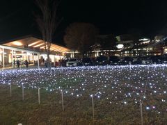 -轻井泽王子购物广场