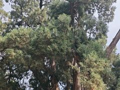 -四门塔风景区