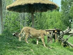 -北京野生动物园