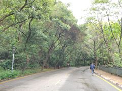 -南国桃园旅游度假区