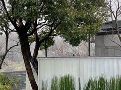 -木守西溪溪隐餐厅