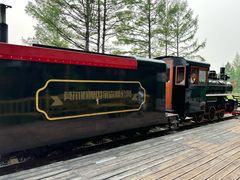 -莫尔道嘎国家森林公园