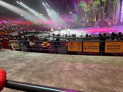 -广州长隆国际大马戏