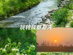 -两河城市森林公园