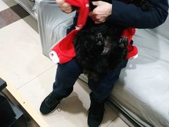 -申普宠物医院·眼科·心内科·影像科(普陀分院)