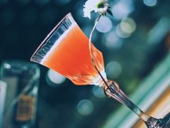 鸡尾酒-LAMP BAR 水烟音乐酒吧