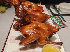 -大鸽饭(体育西路店)