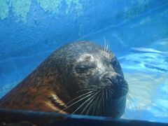 -太平洋海底世界