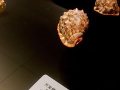 -青岛贝壳博物馆