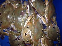 iphone_upload_pic-林记潮牛·牛肉火锅(上马墩店)