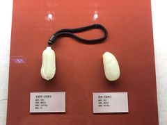 -湖南省地质博物馆