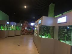 -洛阳龙门海洋馆