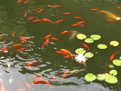 -苏州文旅花间堂·探花府酒店