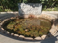 -深圳龙潭公园