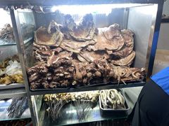 -马相卿特色烤肉面食馆(虎台店)