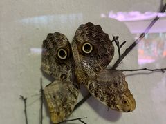 -陕西自然博物馆