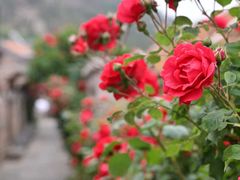 -瑜上·山食小馆