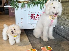 -蜀大侠火锅(春熙路店)