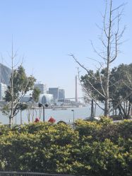 -上海浦滨儿童医院