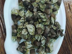 鸡爪螺（佛爪螺）-四季美蚝皇