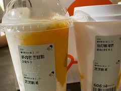 多肉芒芒甘露MAX-喜茶(中山利和新地店)
