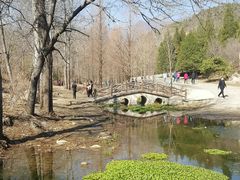 -白水寺森林公园