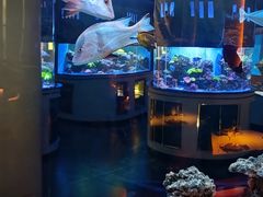 -上和臻品中国菜(花园街店)