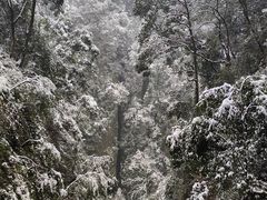 -青城山