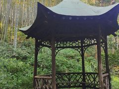 -东明山森林公园